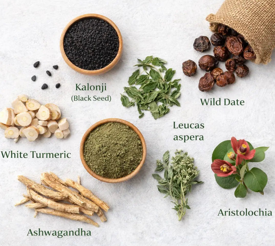 Natural herbal ingredients used in GPS Powder for diabetes support including traditional herbs
